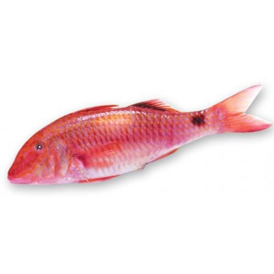 سلطان ابراهيم